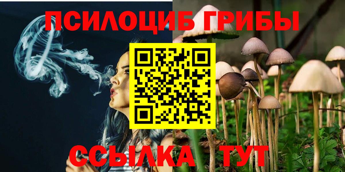 Галлюциногенные грибы Psilocybine cubensis Лесозаводск